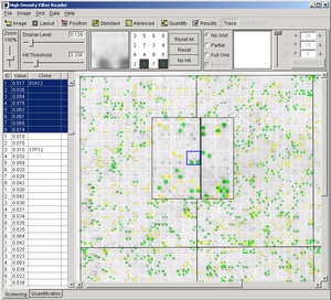 Magelan overview screenshot