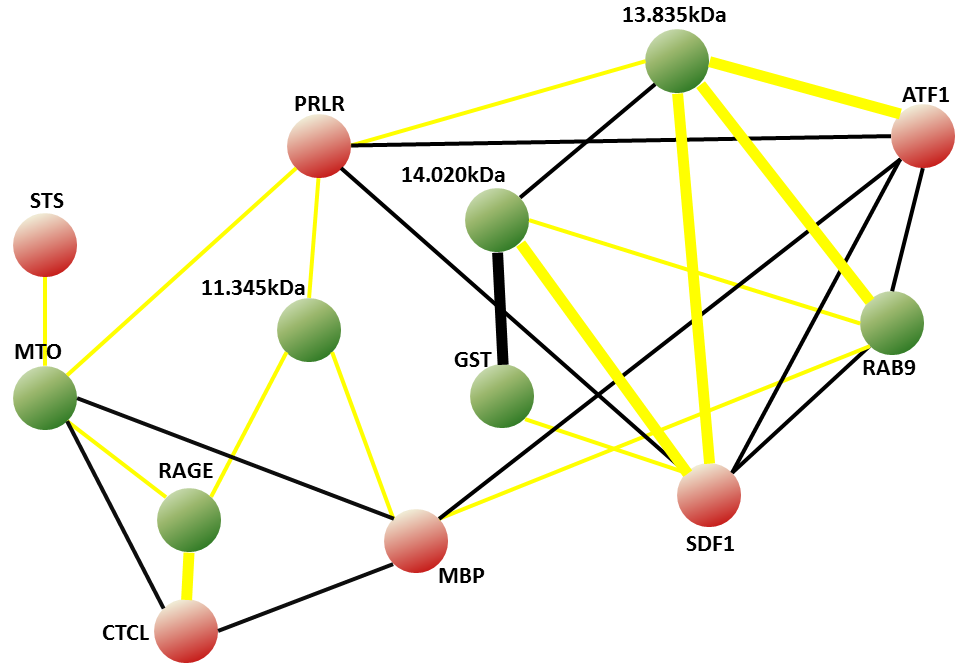 Network diagram of cofluctuations for best separators (genes and proteins)