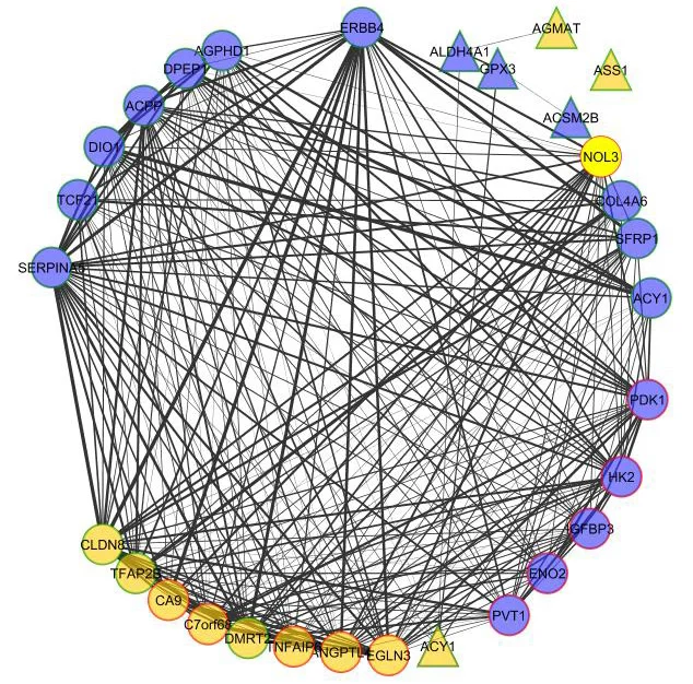 Example network of differentially expressed genes and proteins linked to cancer