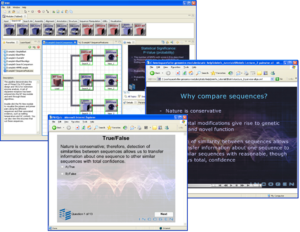 VIBE-Ed overview screenshot
